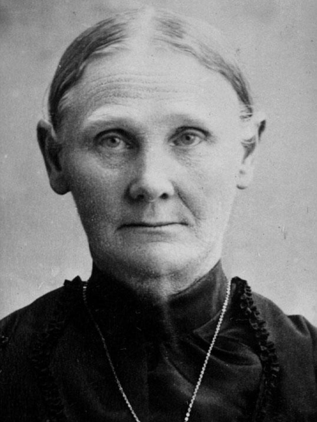 Sarah Ann Eaton (1845 - 1919) Profile